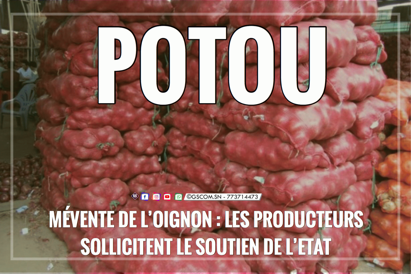 MÉVENTE DE L’OIGNON : LES PRODUCTEURS DE POTOU SOLLICITENT LE SOUTIEN DE L’ETAT