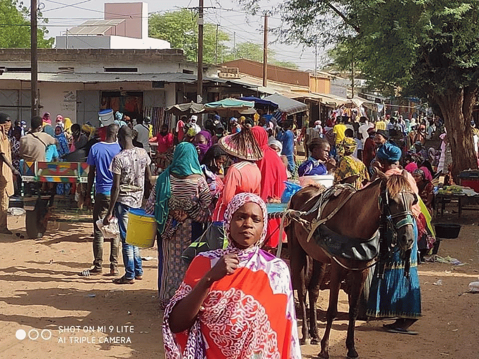 Marché Louma Ndiagne : Début timide ce jeudi après la levée de l’interdiction 